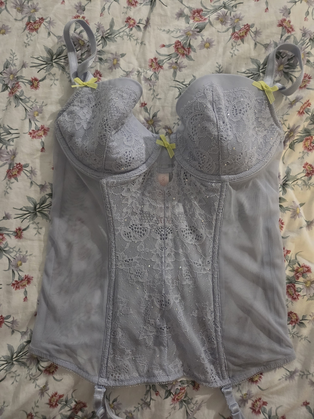 Victoria's Secret Lavender Lace Bustier with Green Bows